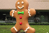 ОС Android 2.3 Gingerbread признана самой популярной версией данной гугловской платформы