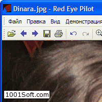 Red Eye Pilot скачать