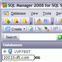 EMS SQL Manager 2008 for SQL Server скачать