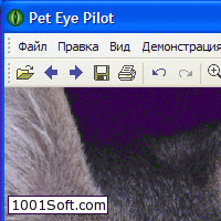 Pet Eye Pilot скачать