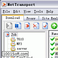 Net Transport скачать