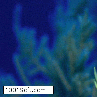 Free Fish Aquarium Screensaver скачать