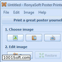 RonyaSoft Poster Printer скачать