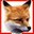 Fox Manager Pro v.1.0.20100