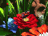 Garden Flowers 3D Screensaver 1.0
