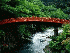 River under bridge 1.0