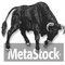 MetaStock скачать