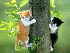 Free Pussy Cat Screensaver 1.0