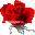 Роза Фигуры 1.4.0