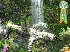 “Тихий водопад” – Анимированные обои 5.07